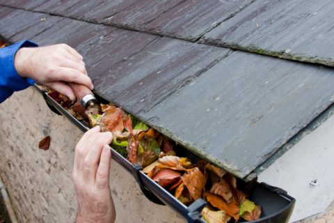 Entretenir et nettoyer sa toiture