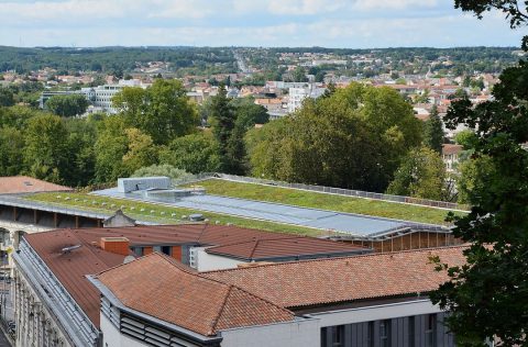 Comment réaliser un toit végétal ?