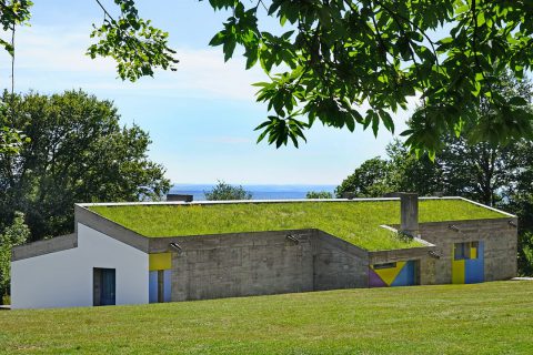 Quel emplacement pour mettre un toit végétal ?